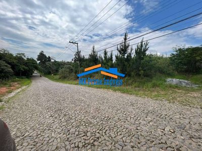 Terreno, 4973 m² - Foto 4