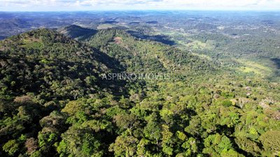 Fazenda, 52 hectares - Foto 3