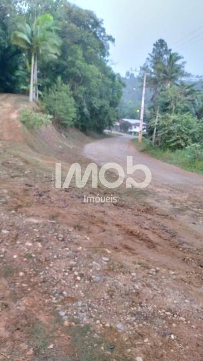 Chácara, 4 quartos, 6 hectares - Foto 3