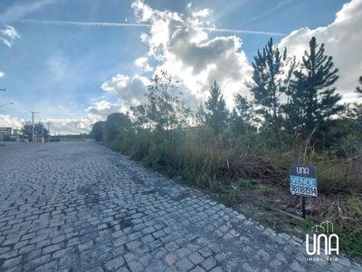 Terreno, 2516 m² - Foto 3