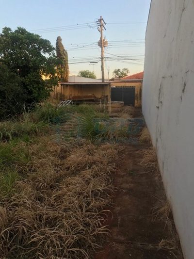 Terreno - Foto 5