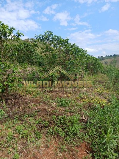Fazenda, 71 m² - Foto 4