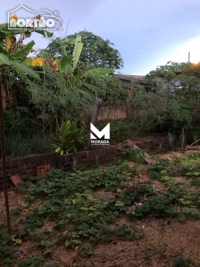 Casa, 3 quartos, 64 m² - Foto 4