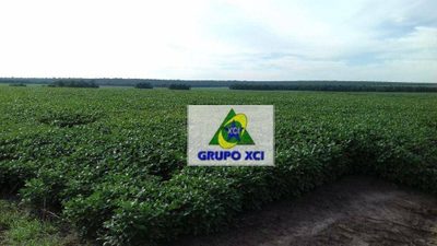 Fazenda, 2040 hectares - Foto 3