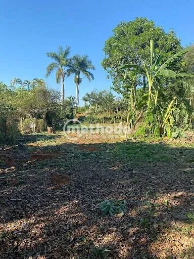 Terreno, 1001 m² - Foto 4