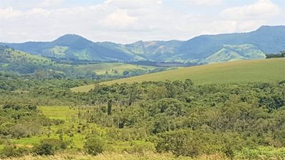 Chácara, 3 quartos, 48 hectares - Foto 3