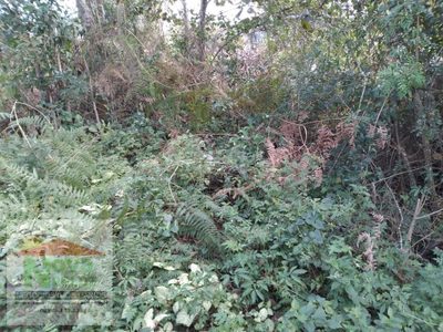 Terreno, 344 m² - Foto 3