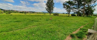 Terreno, 100 hectares - Foto 1