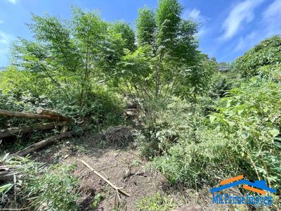 Terreno, 907 m² - Foto 5