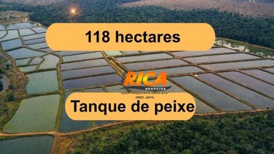 Fazenda, 118 hectares - Foto 1