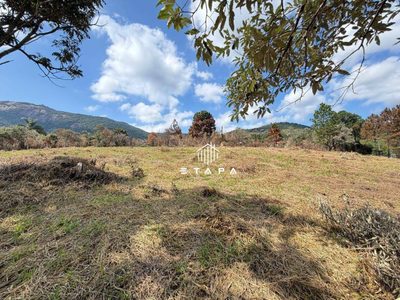 Loteamento e Condomínio, 4300 m² - Foto 2