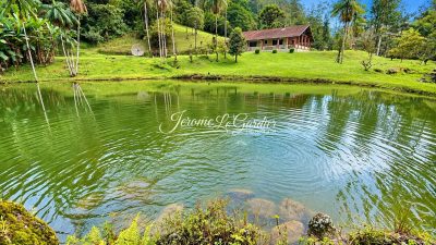 Chácara, 4 quartos, 1 hectares - Foto 1
