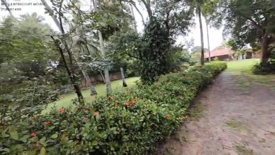 Terreno, 5000 m² - Foto 3