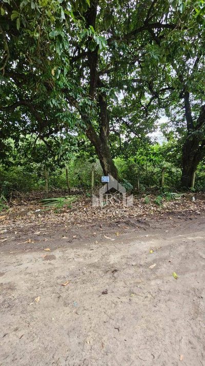 Terreno, 10000 m² - Foto 1