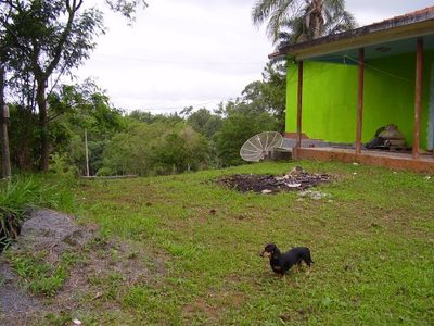 Terreno, 5409 m² - Foto 3