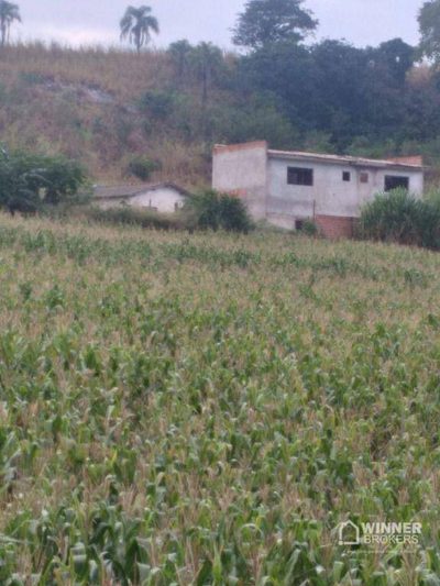 Chácara, 3 quartos, 3 hectares - Foto 1