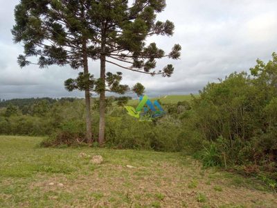 Terreno, 7200 m² - Foto 3