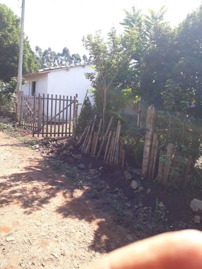 Sítio, 2 quartos, 3875 m² - Foto 4