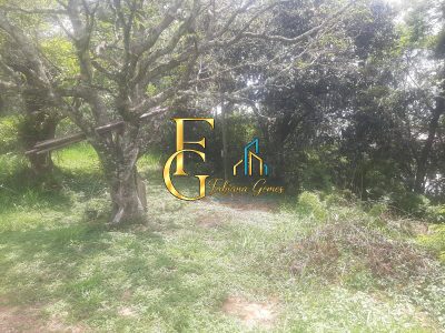 Terreno, 3460 m² - Foto 5