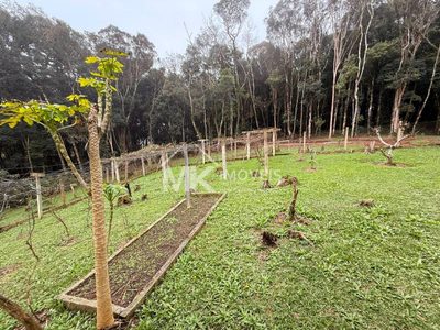 Chácara, 5 quartos, 3 hectares - Foto 3