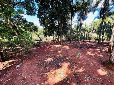 Fazenda, 4 hectares - Foto 4