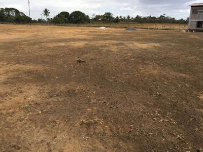 Casa, 28000 m² - Foto 4