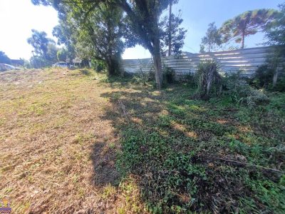 Terreno, 852 m² - Foto 5