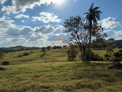 Fazenda, 124 hectares - Foto 1
