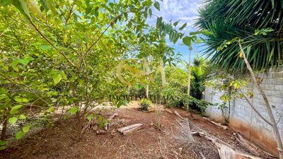 Terreno, 479 m² - Foto 3