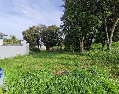 Terreno, 364 m² - Foto 4