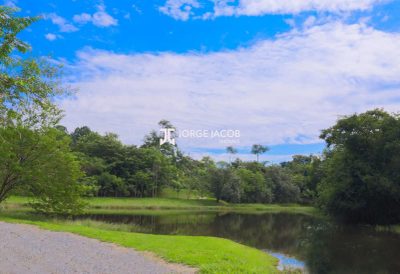 Terreno, 1000 m² - Foto 3