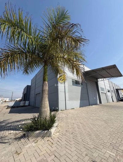 Depósito-Galpão, 403 m² - Foto 4