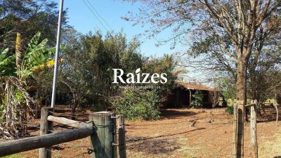 Sítio, 3 quartos - Foto 4