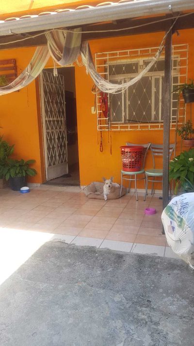 Casa, 3 quartos, 360 m² - Foto 2