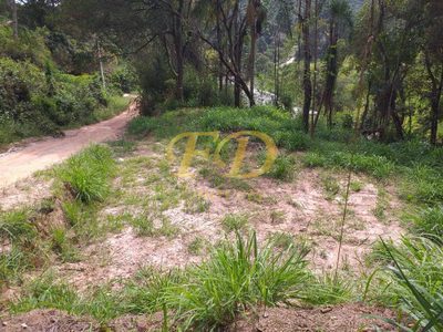 Terreno - Foto 1