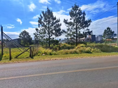Terreno, 338 m² - Foto 4