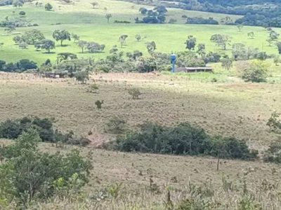 Terreno, 48 hectares - Foto 3