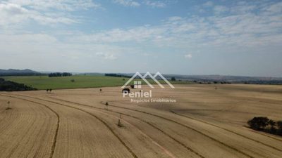 Fazenda, 456 hectares - Foto 5