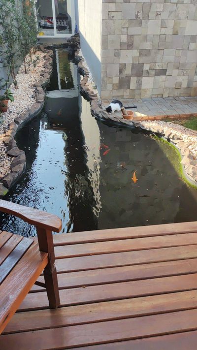 Casa, 3 quartos, 300 m² - Foto 4