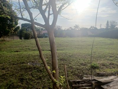 Terreno, 2000 m² - Foto 3