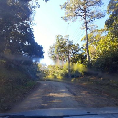 Terreno, 7000 m² - Foto 4