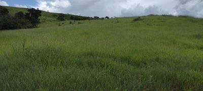 Fazenda, 498 m² - Foto 2