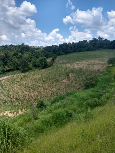 Terreno, 33 hectares - Foto 3
