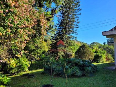 Sítio, 18 hectares - Foto 4