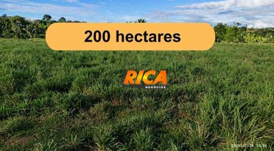 Fazenda, 200 hectares - Foto 1