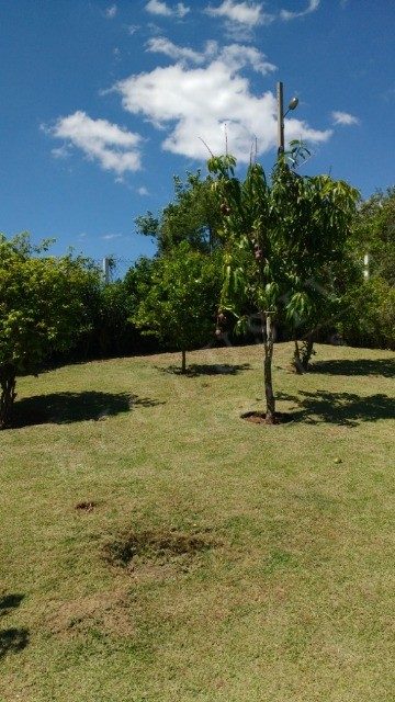 Chácara, 3 quartos - Foto 5