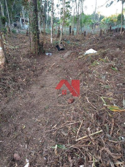 Terreno, 1 hectares - Foto 2