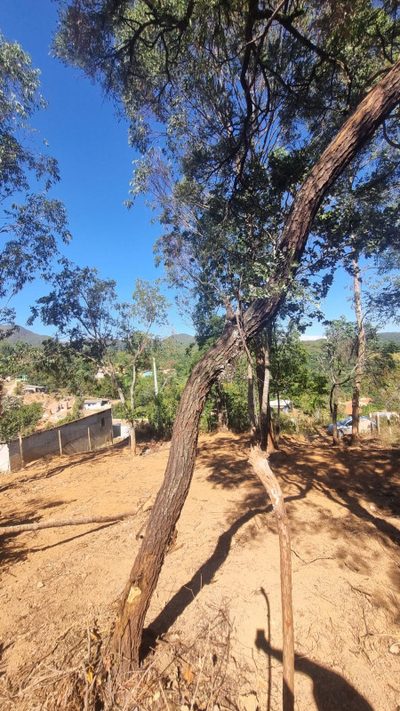 Terreno, 500 m² - Foto 5
