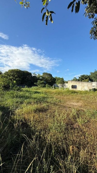 Terreno, 2870 m² - Foto 2