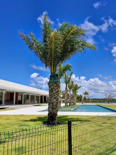 Terreno, 457 m² - Foto 4